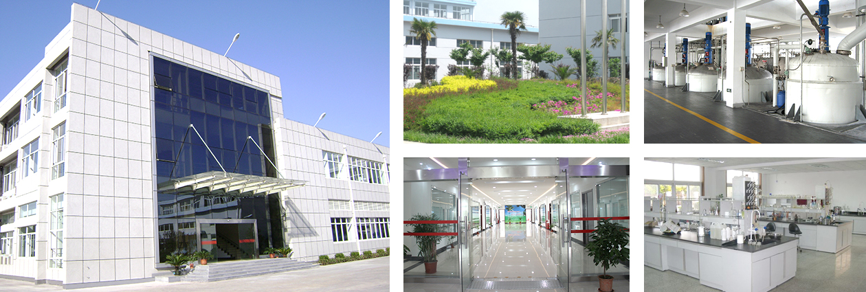 Chizhou Dongsheng Pharmaceutical Co., Ltd.